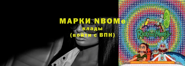 твердый Ельня