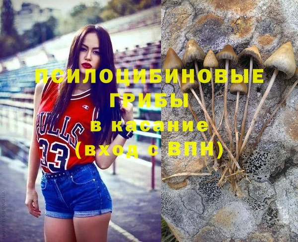 твердый Ельня