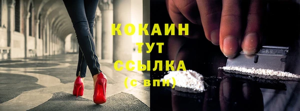 тгк Елизово