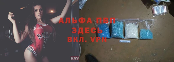 твердый Ельня