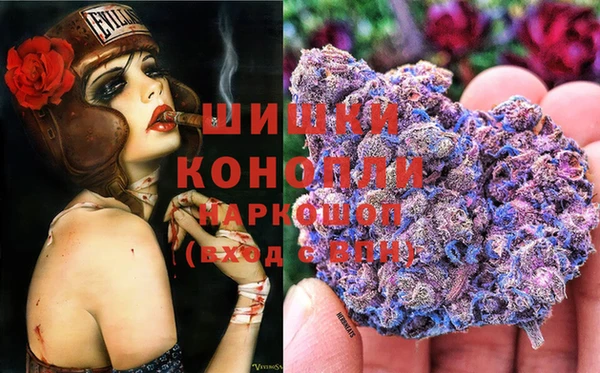 тгк Елизово