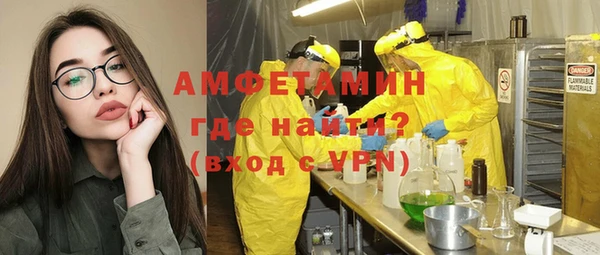 твердый Ельня