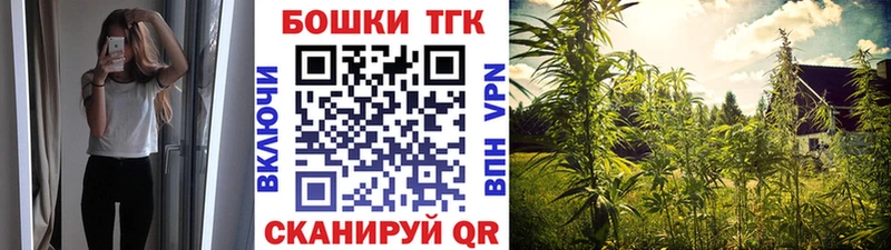 как найти наркотики Пионерский Бошки марихуана марихуана